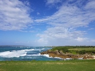 20190221143411479.jpg