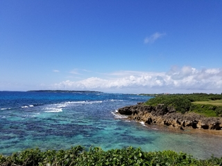 20190221144607508.jpg