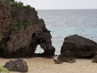 20190221145006517.jpg