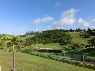 CIMG5736.jpg